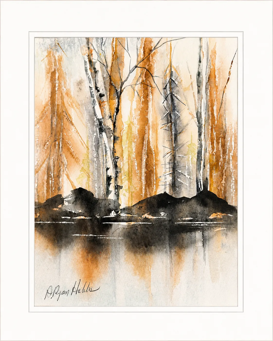 Amber Birches Reflected