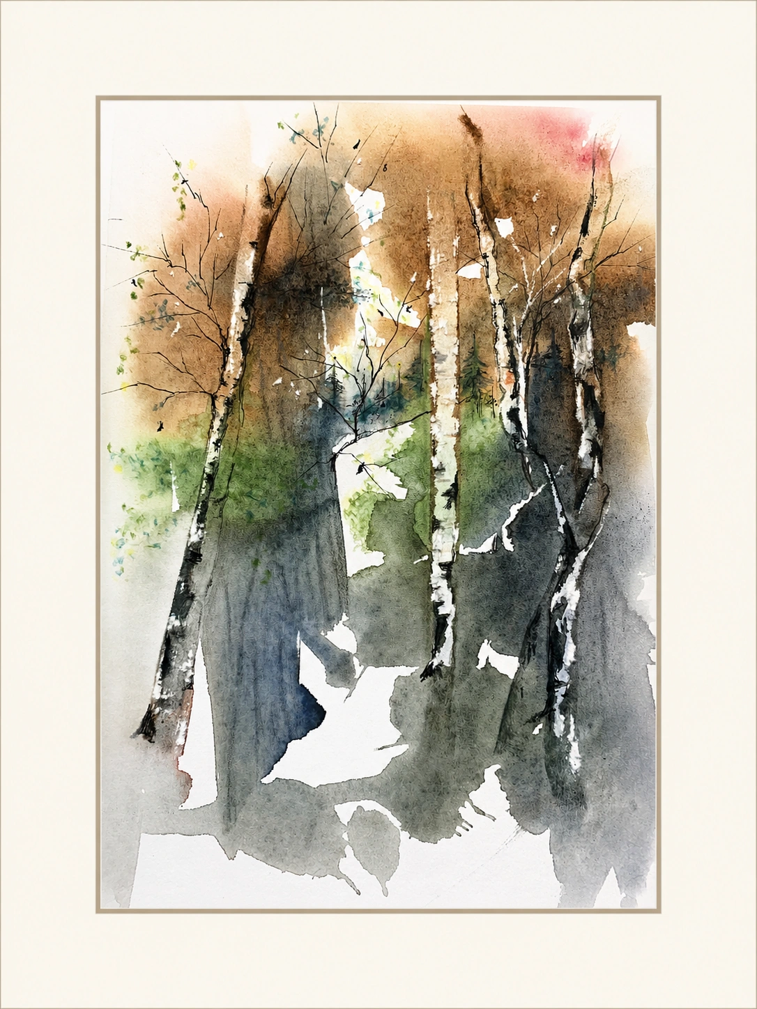 Autumn Birch Grove