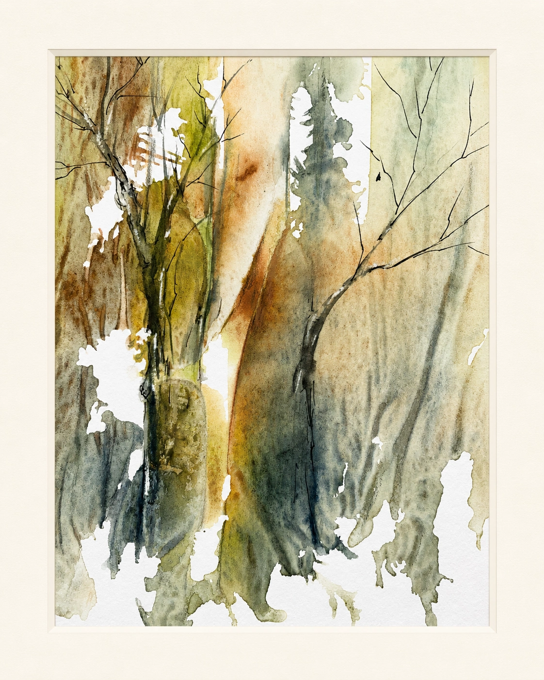 Autumn Forest Light