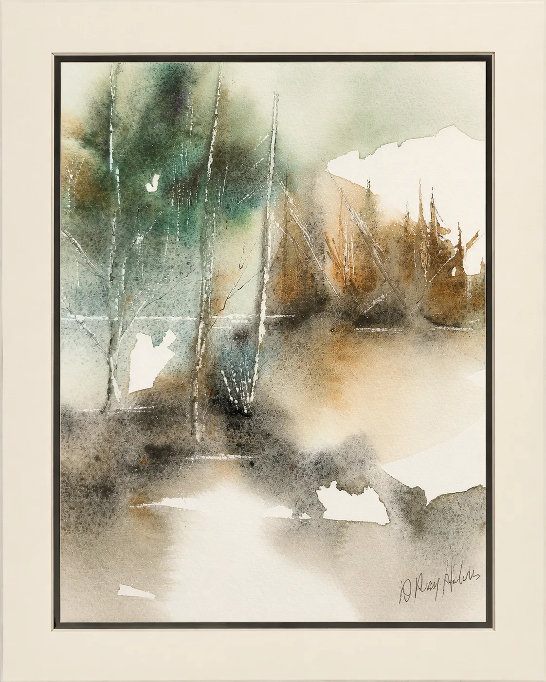 Birch and Spruce in Autumn