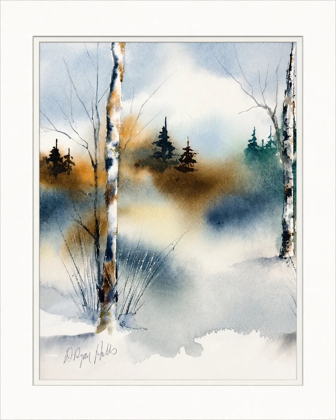 Birch and Spruce in First Snow