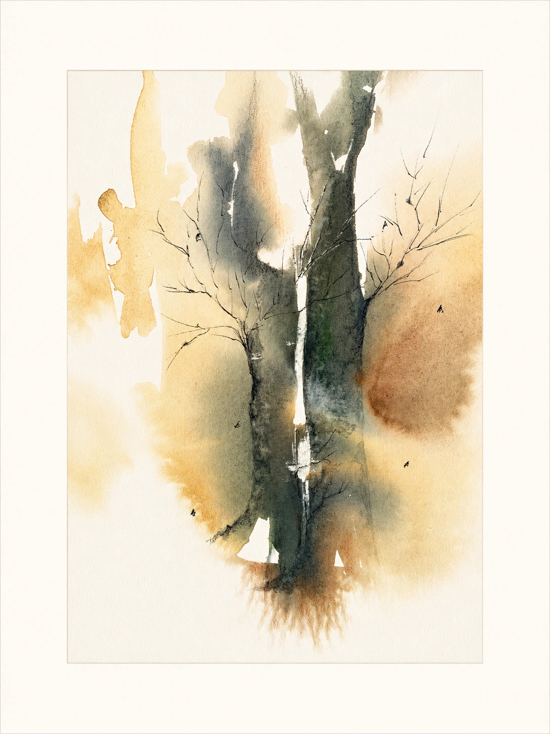Birch in Autumn Light