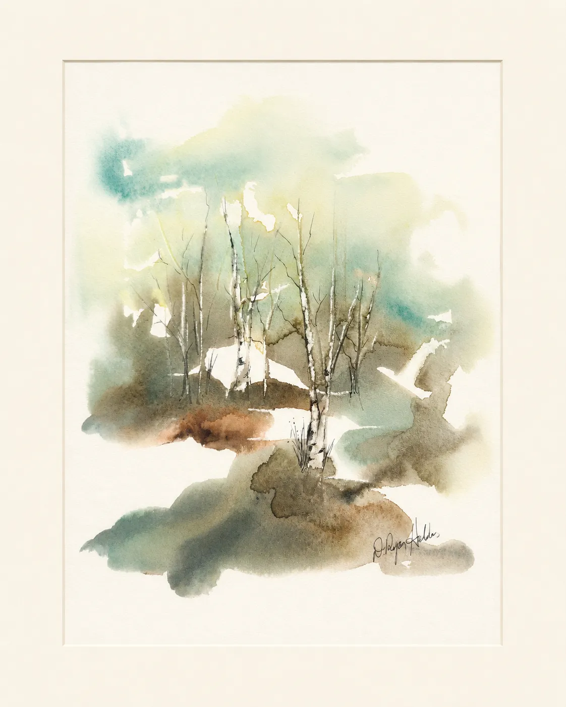 Birches in Soft Light