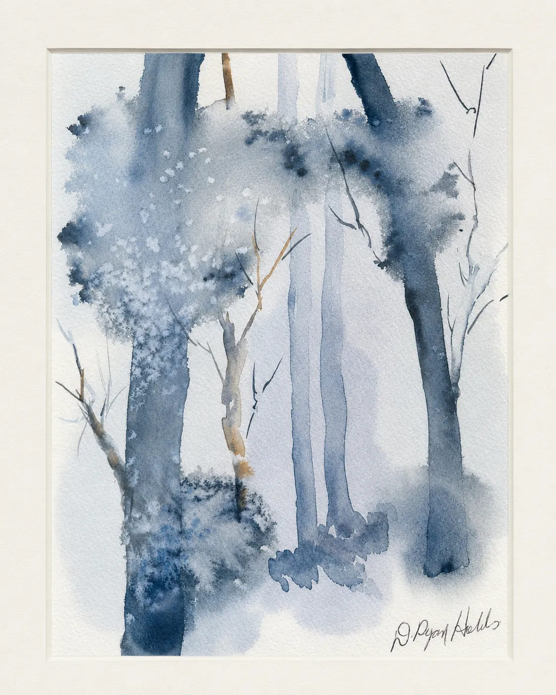 Blue Forest Canopy