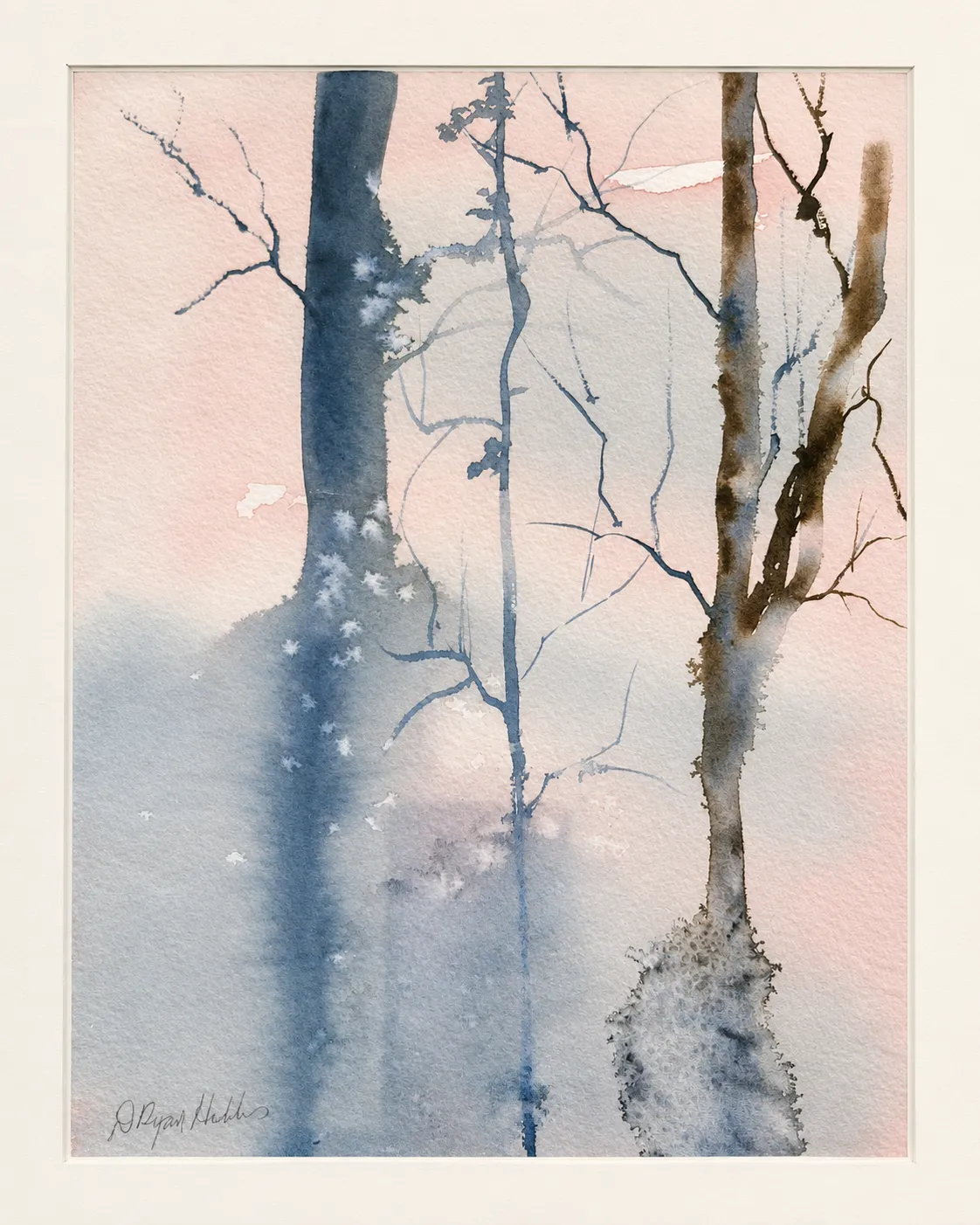 Blush Sky Between Trees