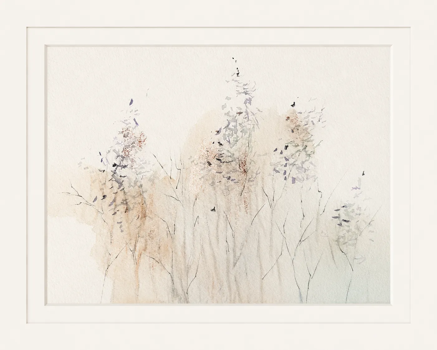 Delicate Grasses in Winter