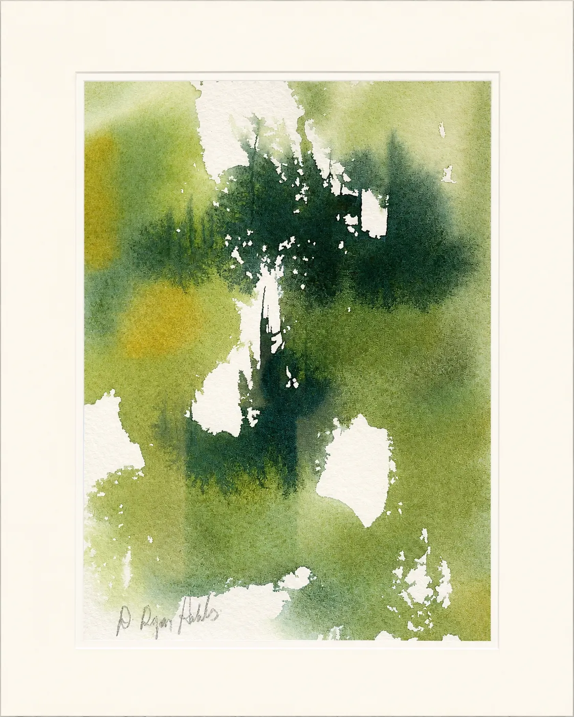 Emerald Canopy