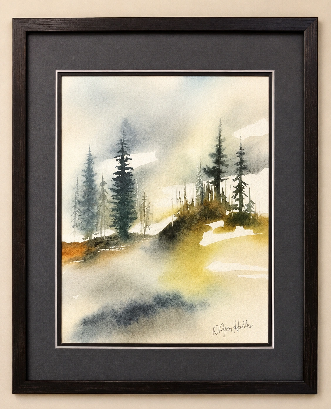 Evergreens in Morning Haze