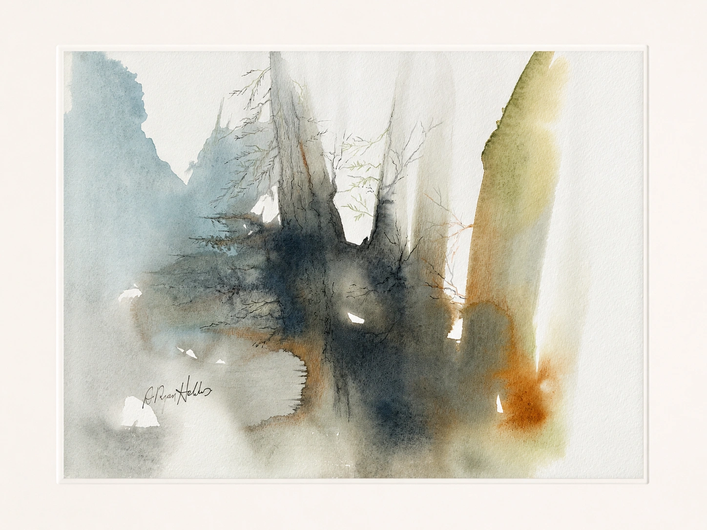 Forest Shadow Depths