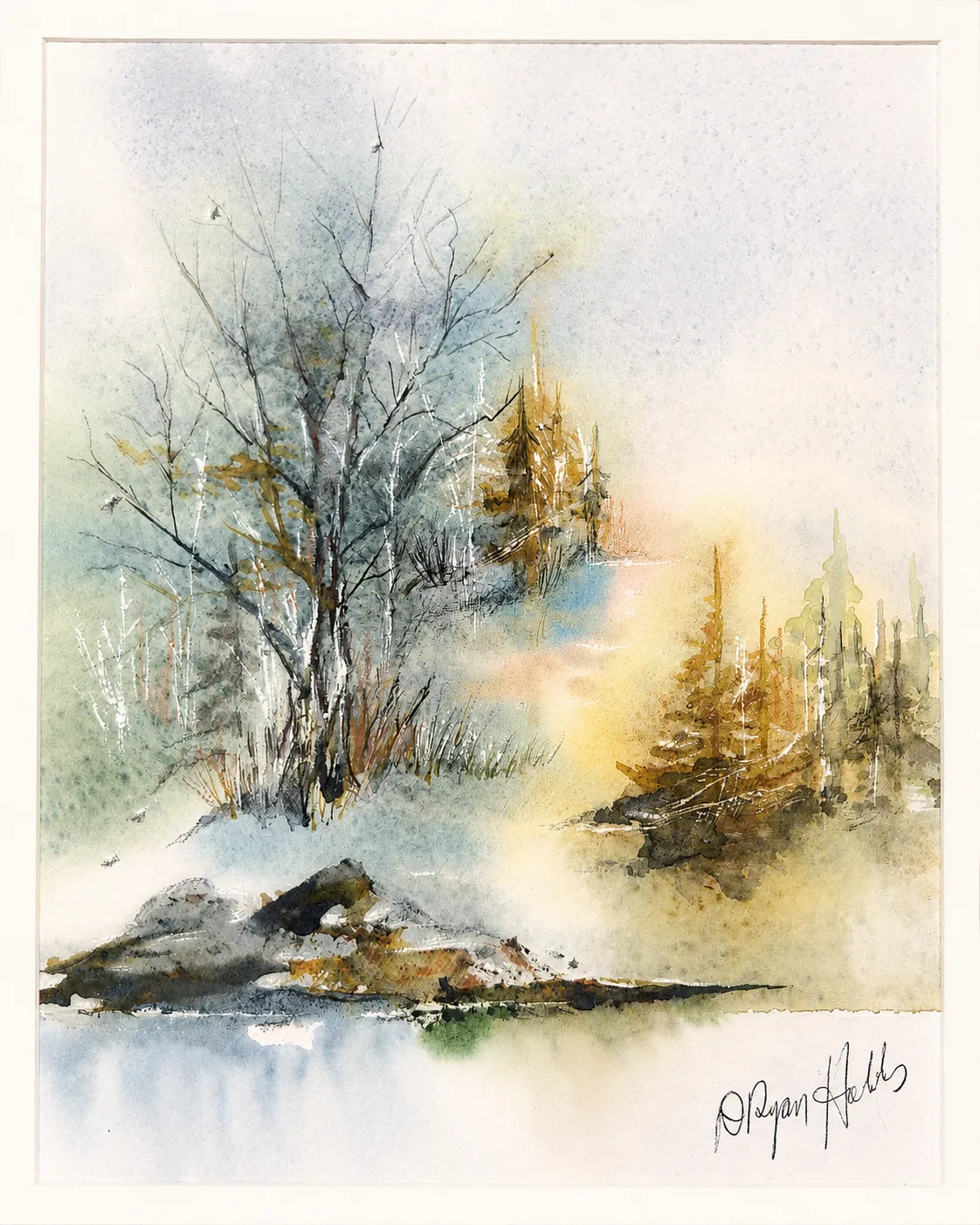 Golden Light Through Winter Trees