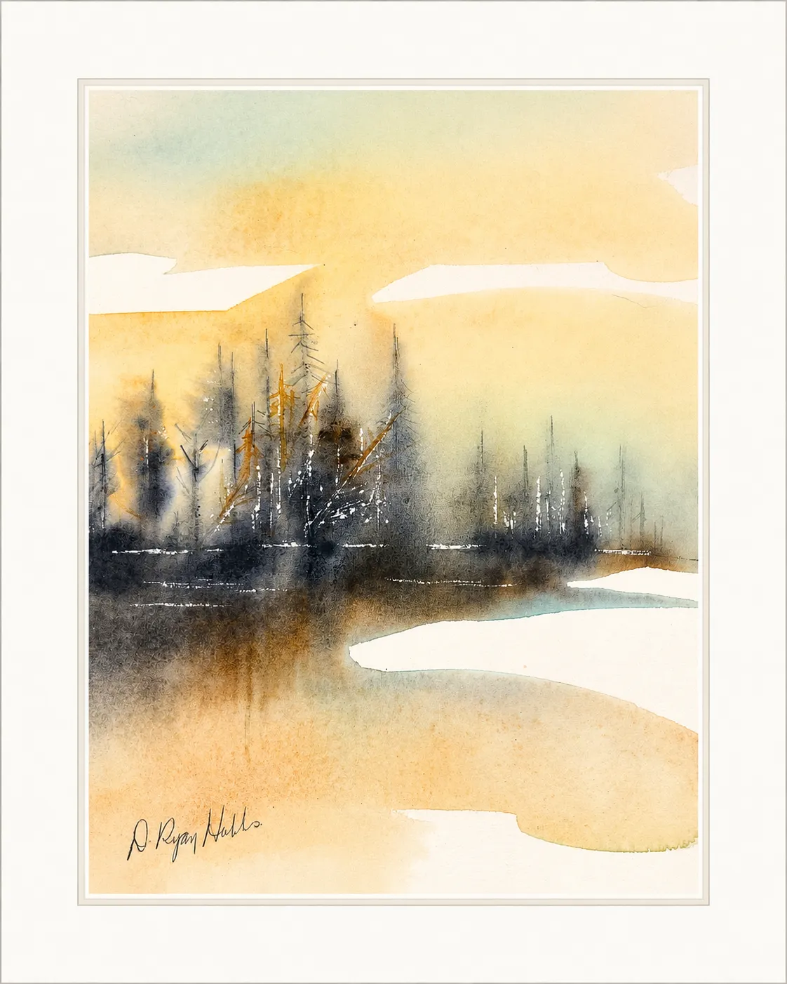 Golden Pines at Sunset