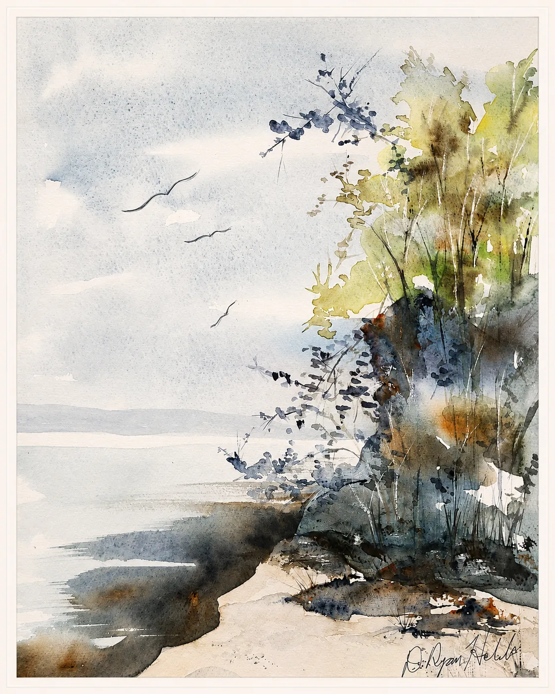 Gulls Over the Bluff