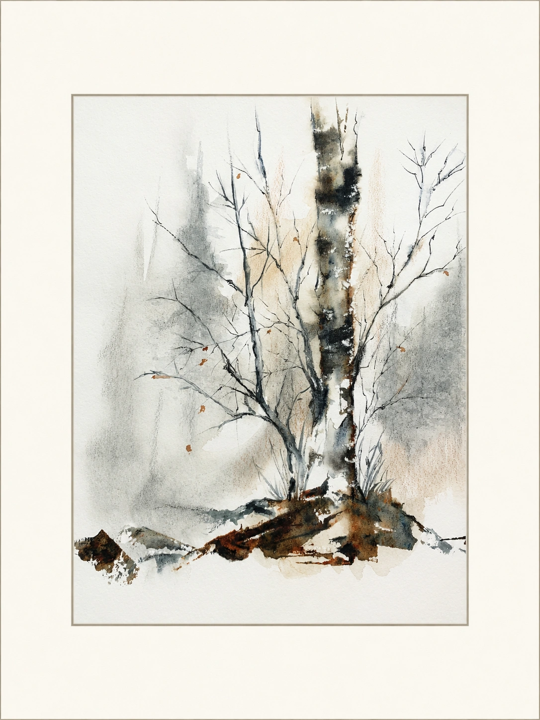 Lone Birch in Winter