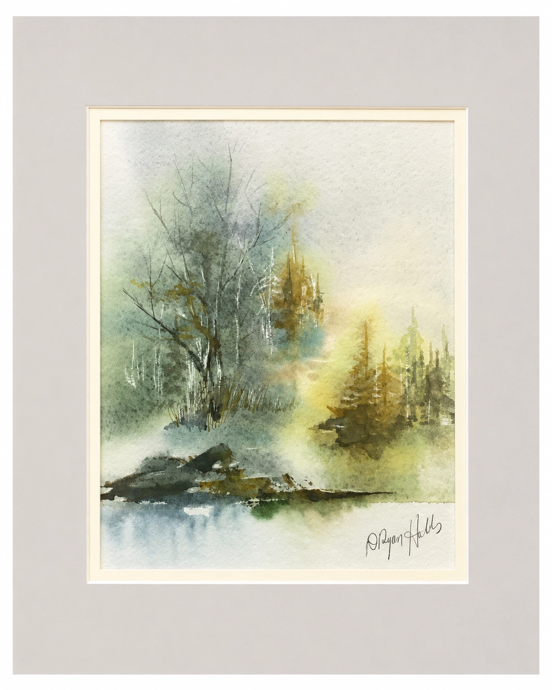 Misty Pines at the Water's Edge