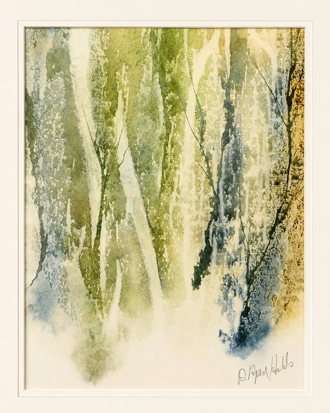 Moss and Light Through Trees