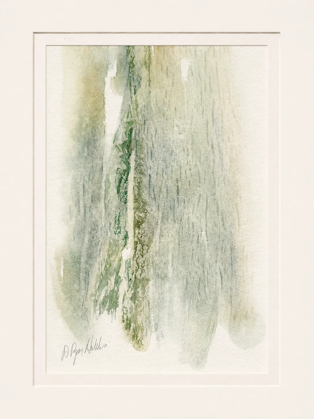Pale Birch Trunk