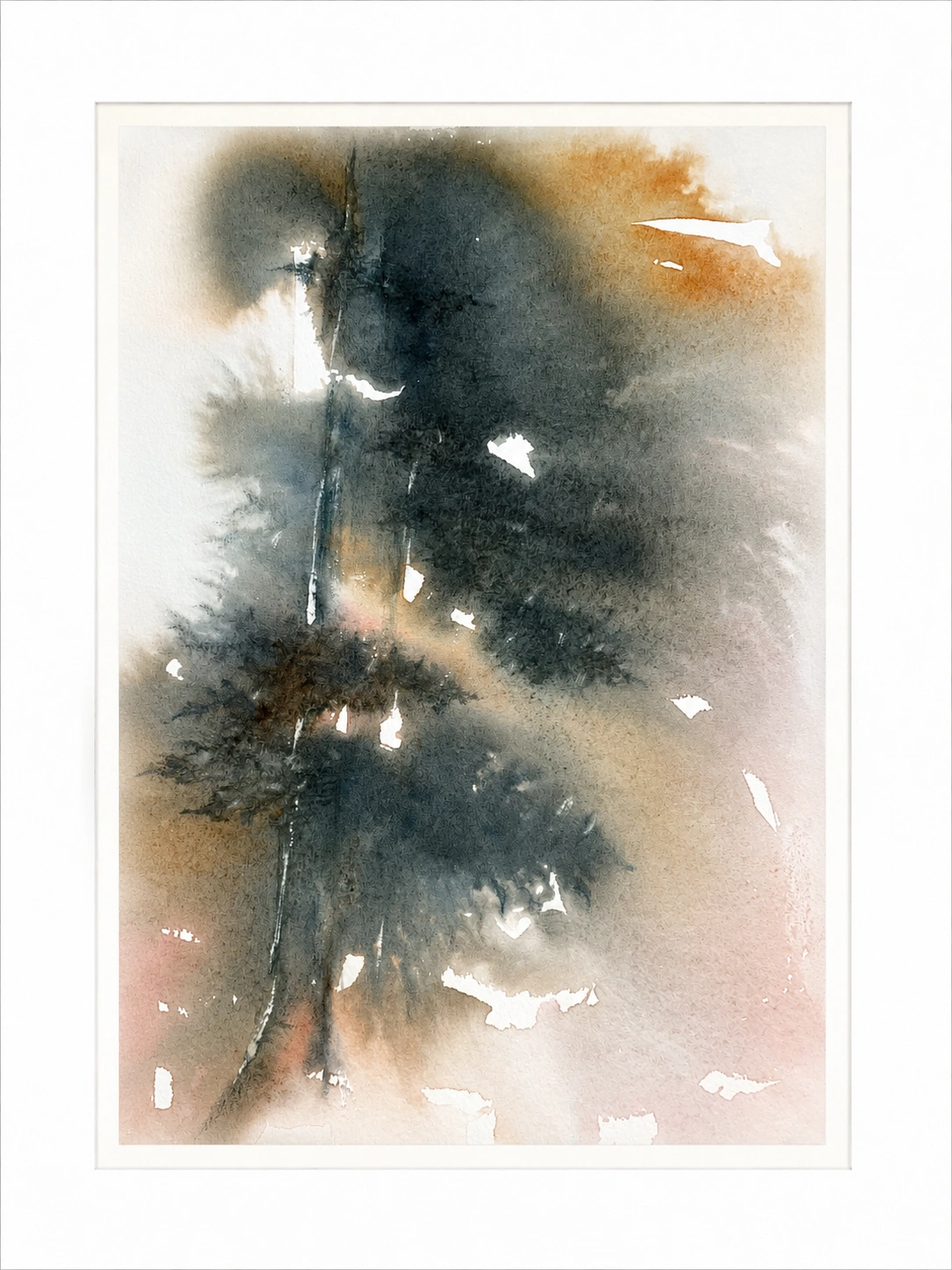 Pines in Storm Light