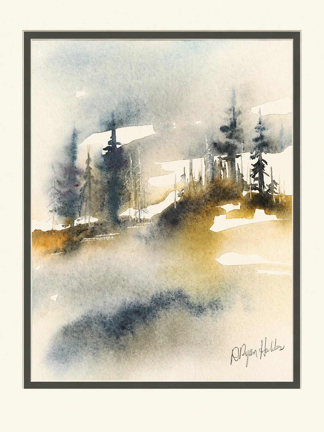 Pines on the Misty Slope