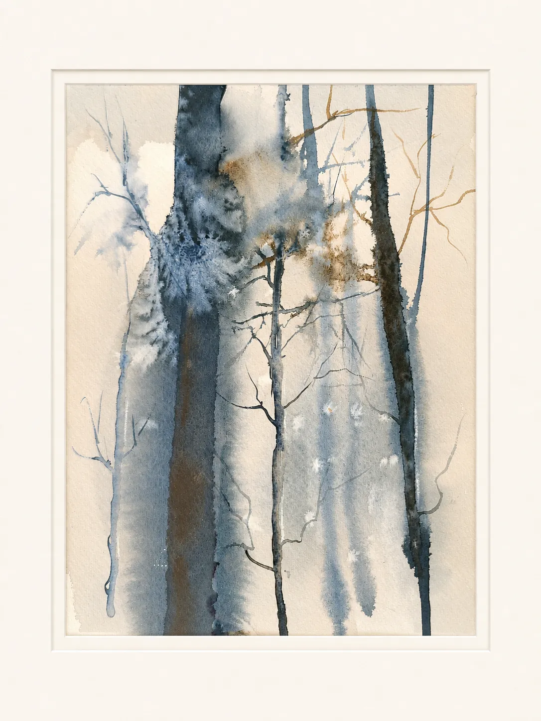 Shadows Among the Trunks