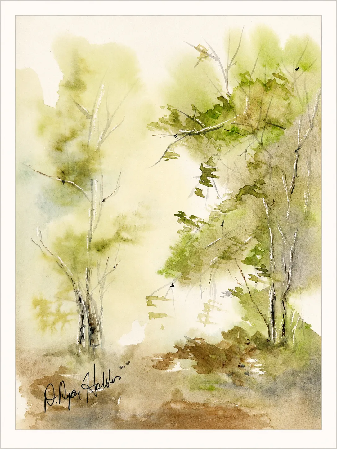 Spring Birch in Green Light