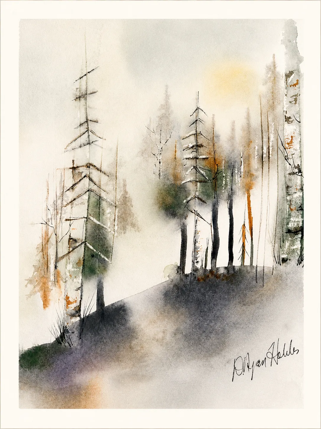 Spruce and Birch on the Slope