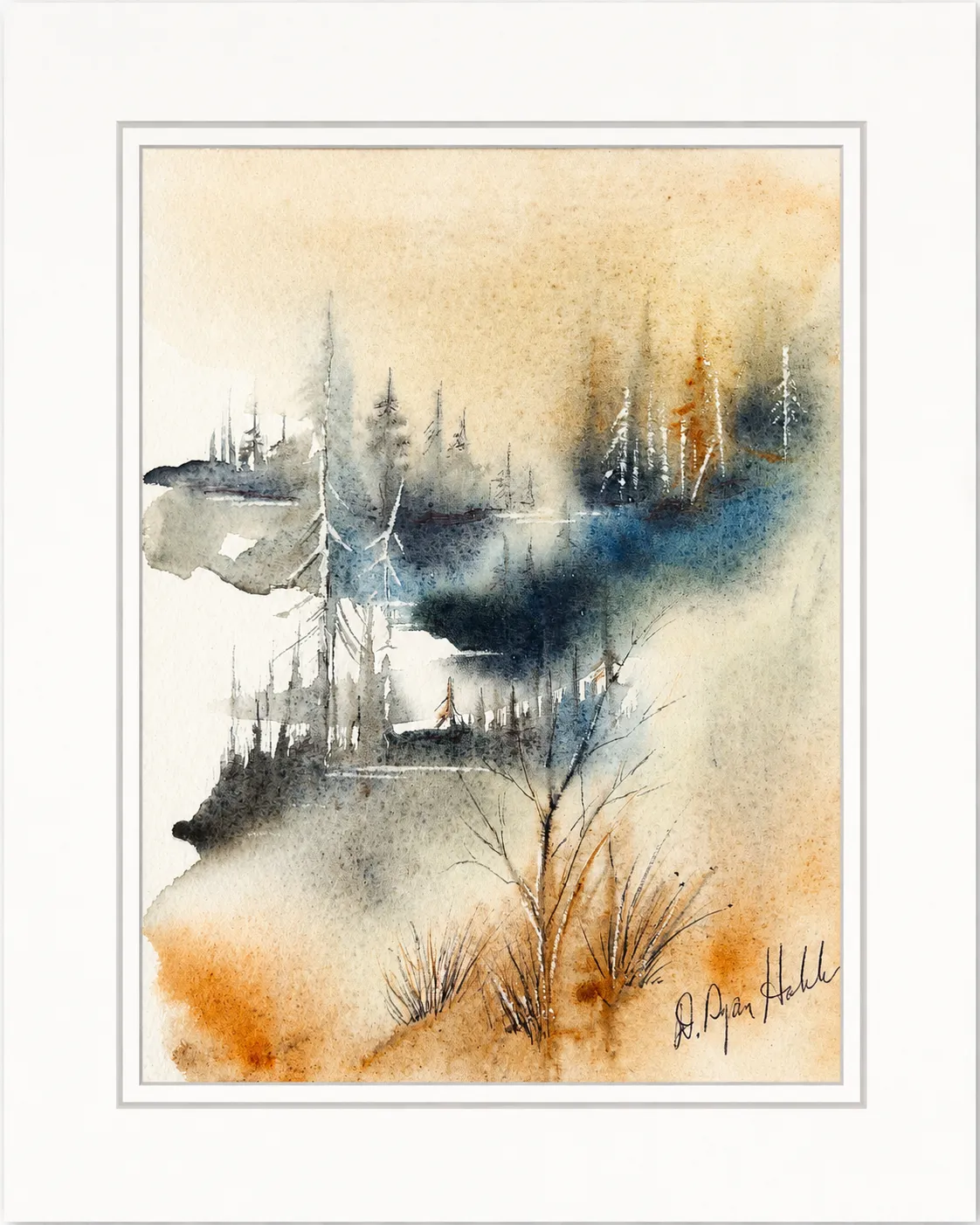 Spruce in Amber Mist