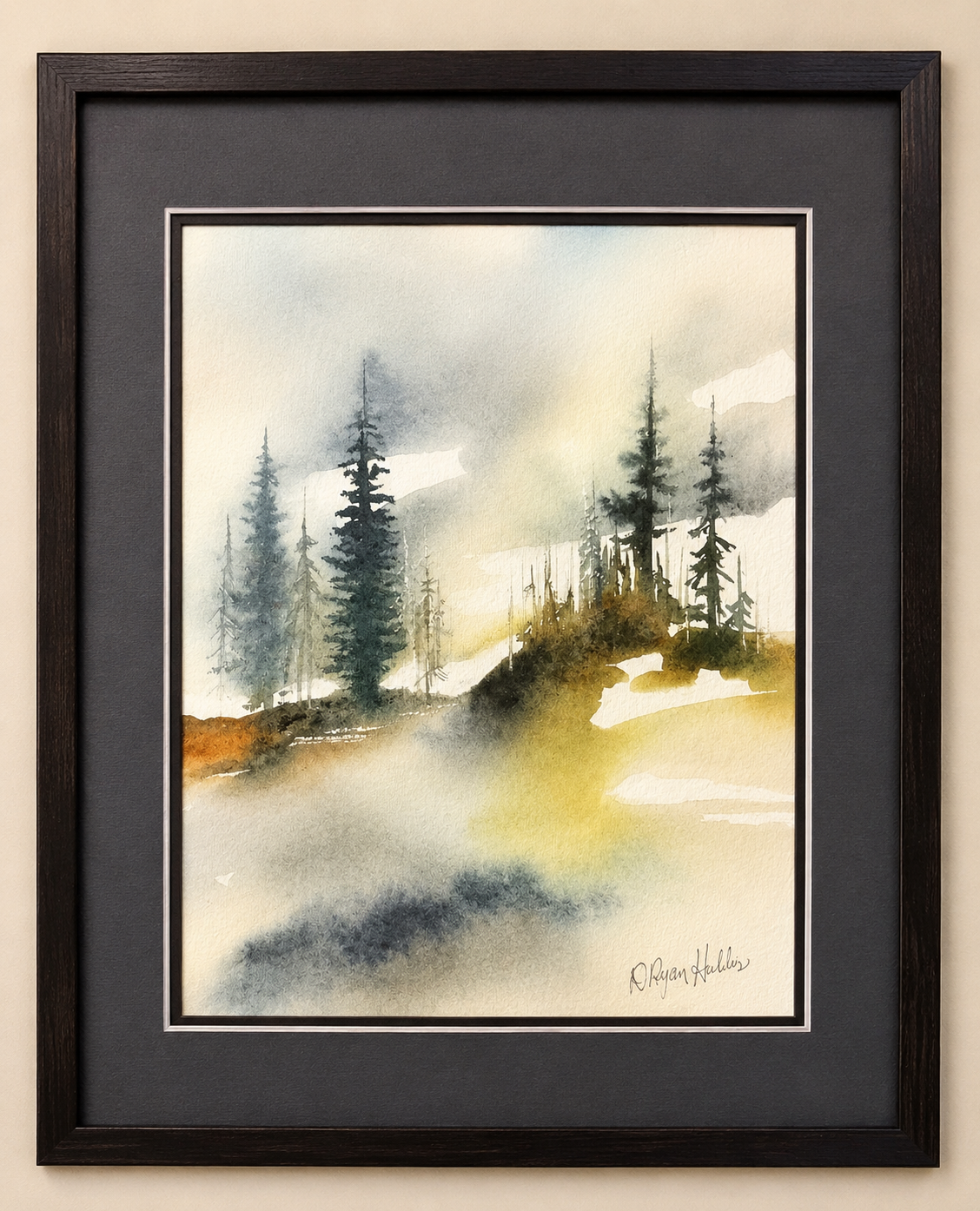 Evergreens in Morning Haze
