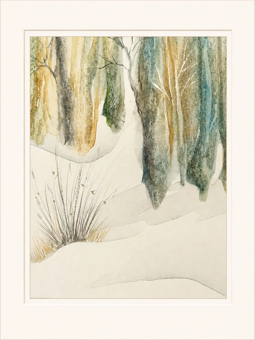 Trunks in Snow Drift