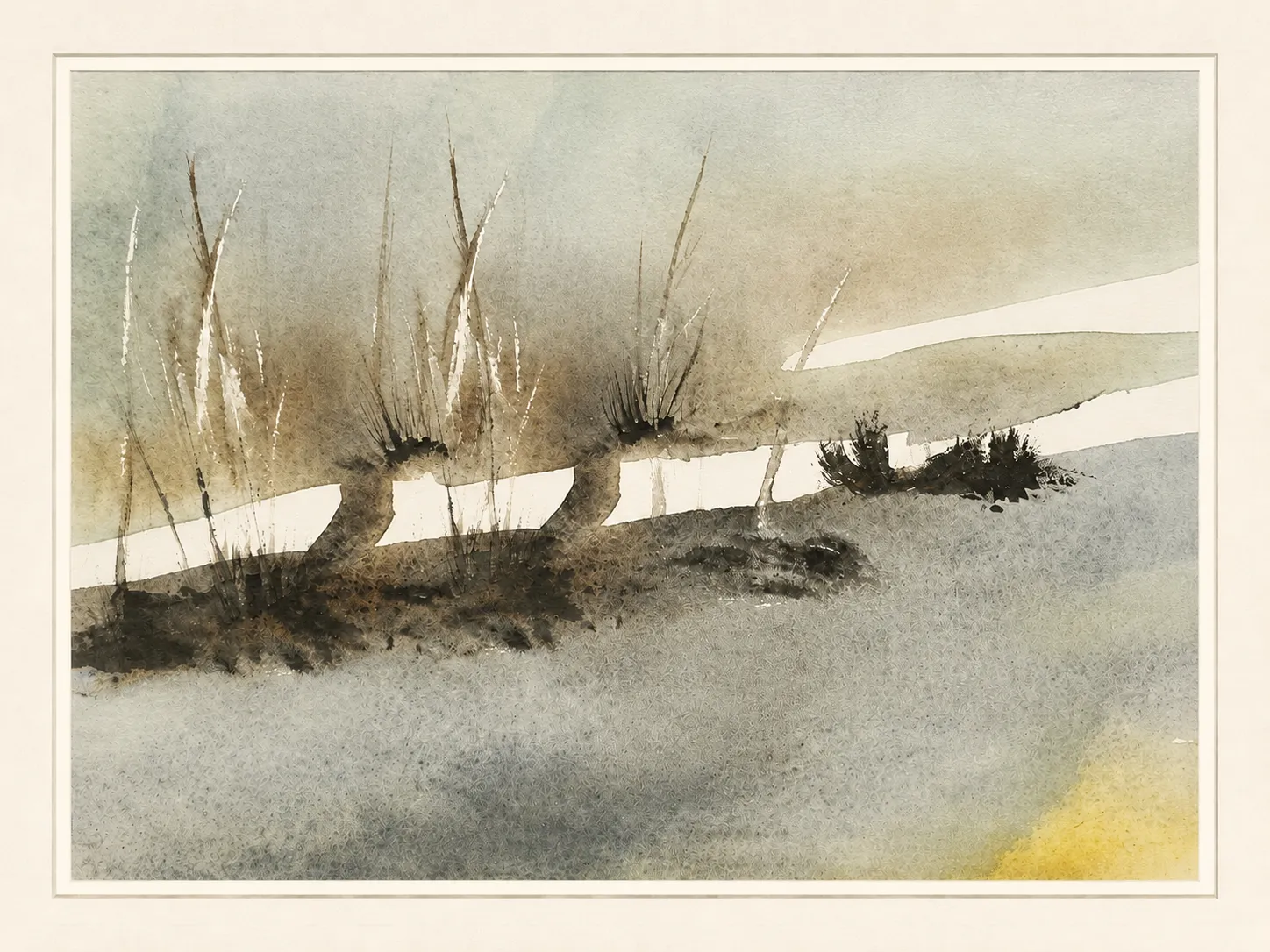 Willows Along the Ridge