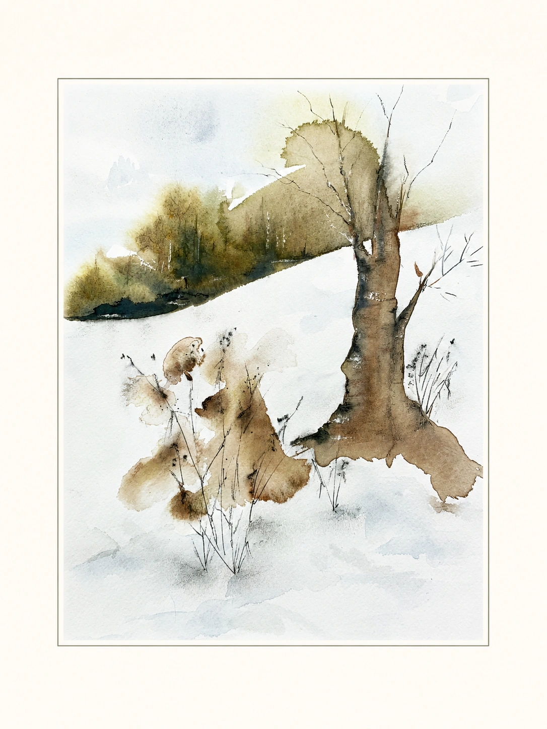 Winter Oak in Snow